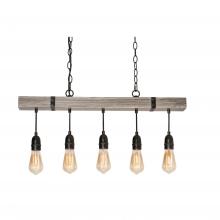 AFX Lighting, Inc. NOAP3010MBDG - NOAH PENDANT MEDIUM BASE