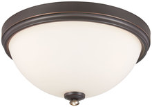 Minka-Lavery 3288-589 - Shadowglen - 3 Light Flush