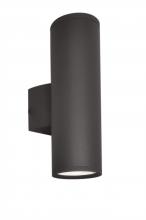 Maxim 6102ABZ - Lightray-Outdoor Wall Mount