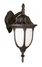 Trans Globe 4048 BK - Hamilton 13" Wall Lantern