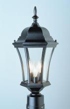 Trans Globe 4504 SWI - Burlington 1-Light Metal and Glass Post Mount Lantern Head