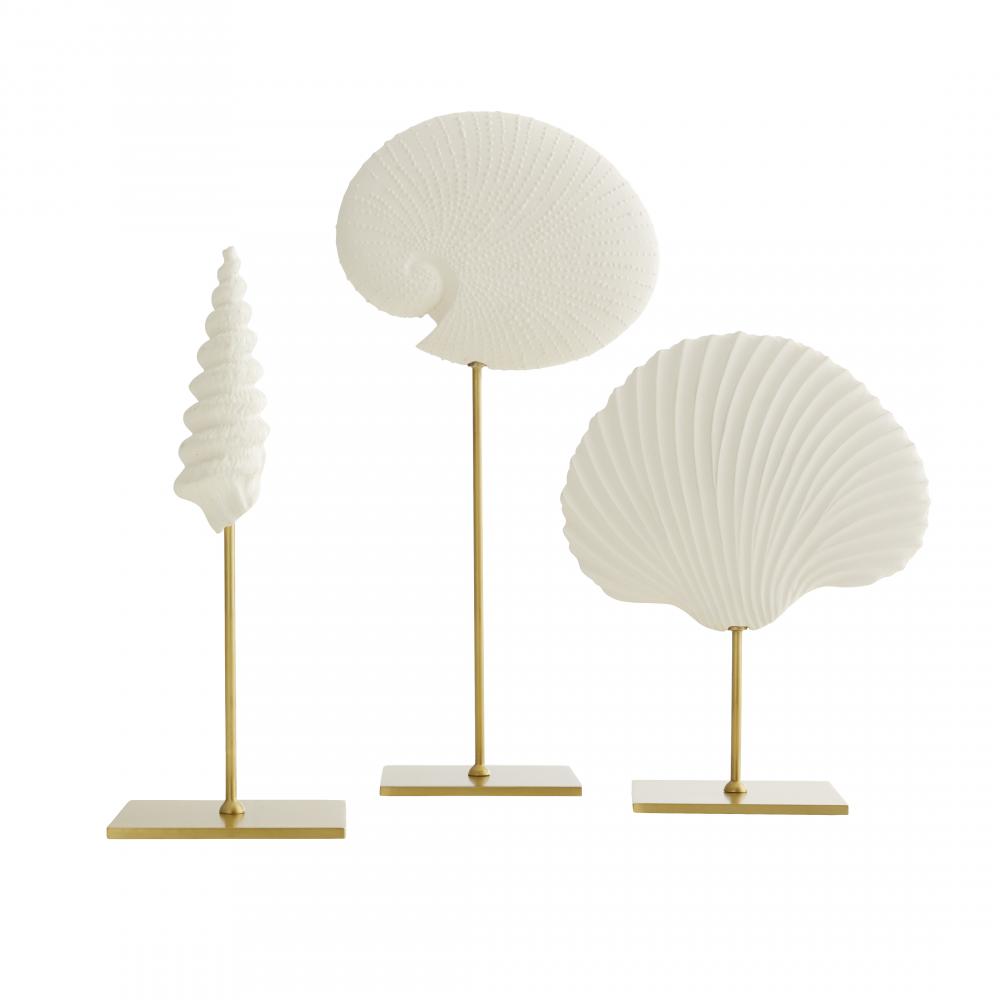 Shell Sculptures, Set of 3