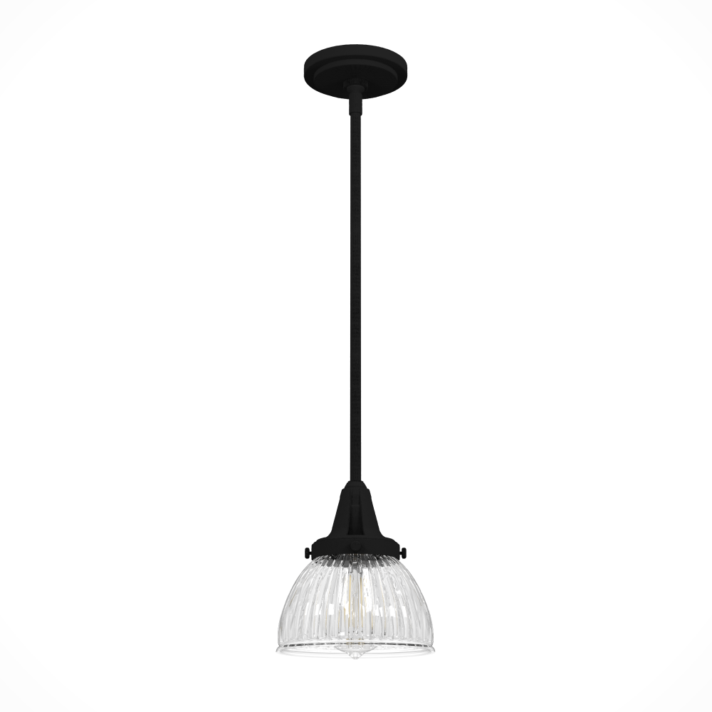 Hunter Cypress Grove Natural Black Iron with Clear Holophane Glass 1 Light Pendant Ceiling Light Fix