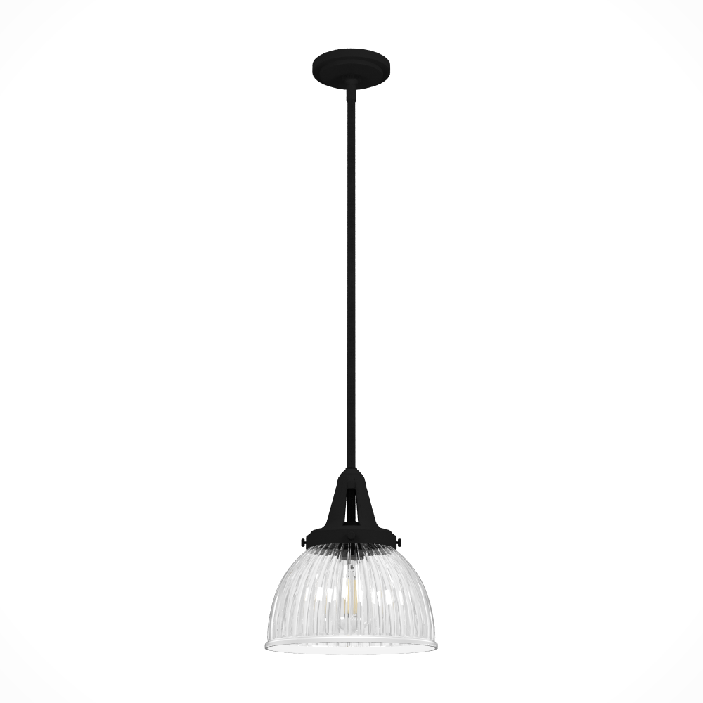 Hunter Cypress Grove Natural Black Iron with Clear Holophane Glass 1 Light Pendant Ceiling Light