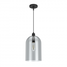 Hunter 19204 - Hunter Lochemeade Natural Black Iron with Smoked Glass 1 Light Pendant Ceiling Light Fixture