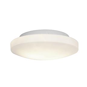 Dimmable LED Flush Mount