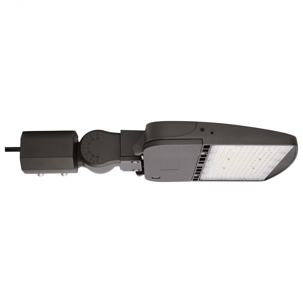 LED Area Light Type IV; 100W; Bronze Finish; 5000K; 277-480V