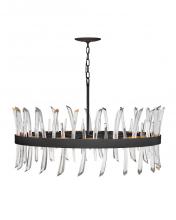 Fredrick Ramond FR30905BLK - Large Single Tier Chandelier